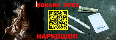шишки Будённовск