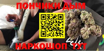 шишки Будённовск