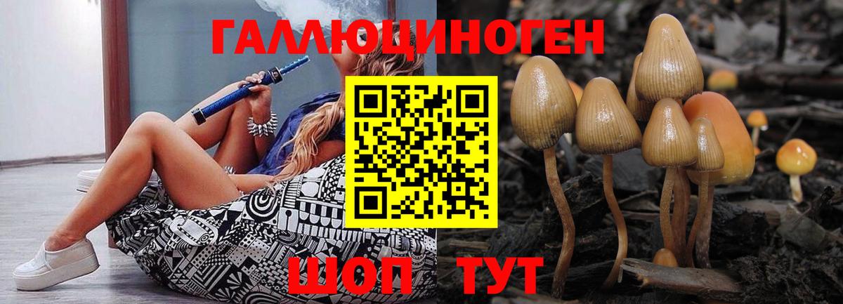 Псилоцибиновые грибы GOLDEN TEACHER  Вход с VPN  Рославль 