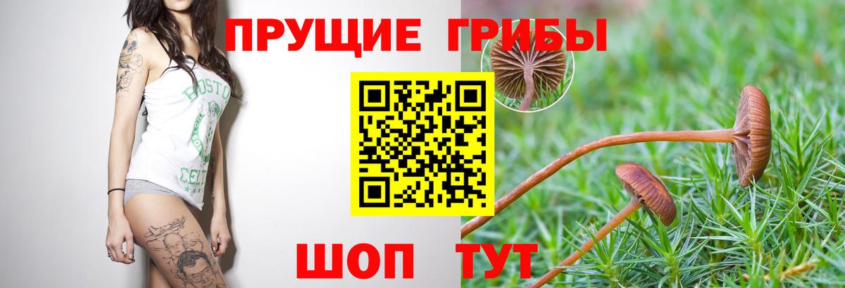 Псилоцибиновые грибы MAGIC MUSHROOMS Рославль